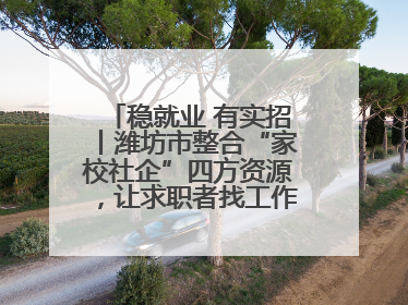 稳就业 有实招丨潍坊市整合“家校社企”四方资源，让求职者找工作不孤单