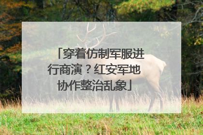 穿着仿制军服进行商演？红安军地协作整治乱象