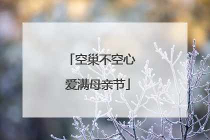 空巢不空心 爱满母亲节