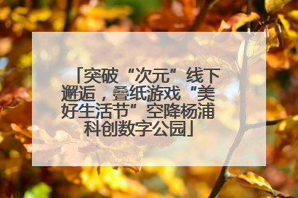 突破“次元”线下邂逅，叠纸游戏“美好生活节”空降杨浦科创数字公园
