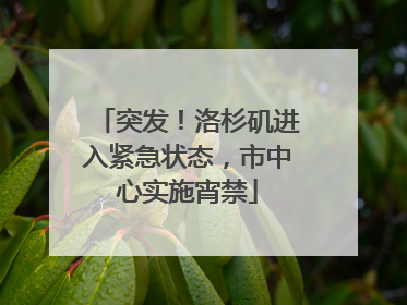 突发！洛杉矶进入紧急状态，市中心实施宵禁