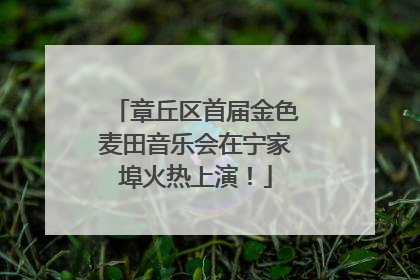 章丘区首届金色麦田音乐会在宁家埠火热上演！