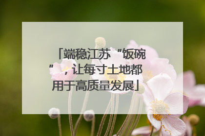 端稳江苏“饭碗”，让每寸土地都用于高质量发展