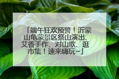 端午狂欢预警！沂蒙山龟蒙景区祭山演出、艾香手作、对山歌、逛市集！速来嗨玩~