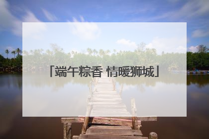 端午粽香 情暖狮城