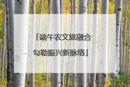 端午农文旅融合 勾勒振兴新脉络