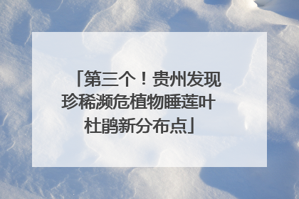 第三个！贵州发现珍稀濒危植物睡莲叶杜鹃新分布点