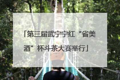 第三届武宁宁红“省美酒”杯斗茶大赛举行