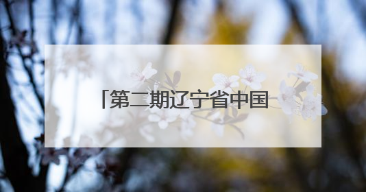 第二期辽宁省中国国际大学生创新大赛（2025）师资培训班在大连民族大学成功举办