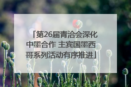 第26届青洽会深化中墨合作 主宾国墨西哥系列活动有序推进