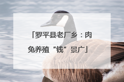罗平县老厂乡：肉兔养殖“钱”景广