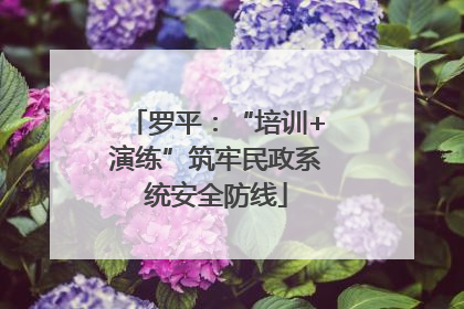 罗平：“培训+演练”筑牢民政系统安全防线