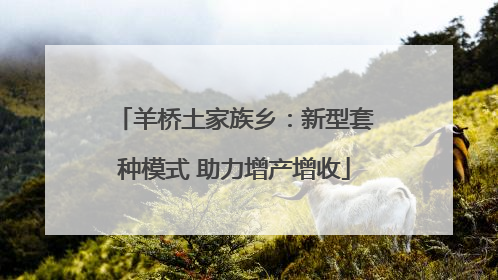 羊桥土家族乡：新型套种模式 助力增产增收
