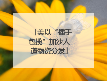 美以“插手包揽”加沙人道物资分发