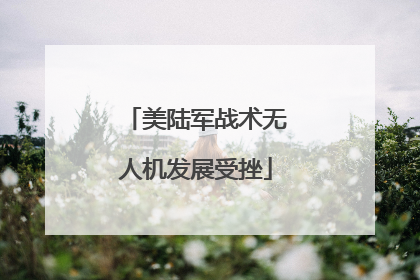 美陆军战术无人机发展受挫