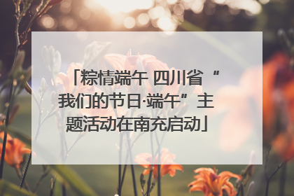 粽情端午 四川省“我们的节日·端午”主题活动在南充启动