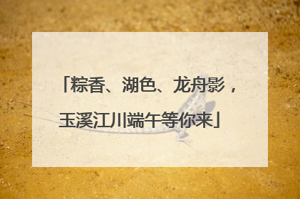 粽香、湖色、龙舟影，玉溪江川端午等你来