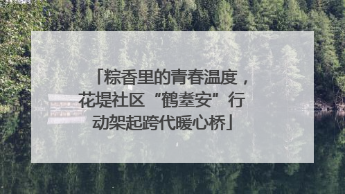 粽香里的青春温度，花堤社区“鹤耋安”行动架起跨代暖心桥