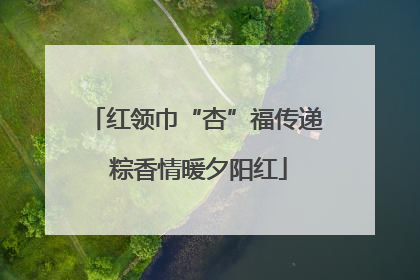 红领巾“杏”福传递 粽香情暖夕阳红