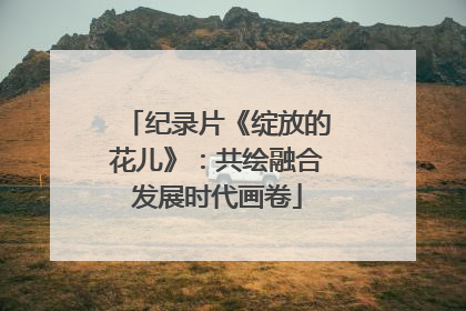 纪录片《绽放的花儿》：共绘融合发展时代画卷