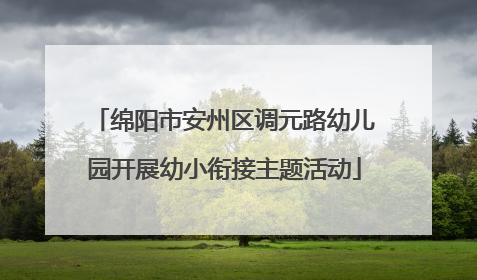 绵阳市安州区调元路幼儿园开展幼小衔接主题活动