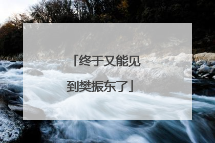 终于又能见到樊振东了