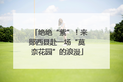 绝绝“紫”！来郧西县赴一场“莫奈花园”的浪漫