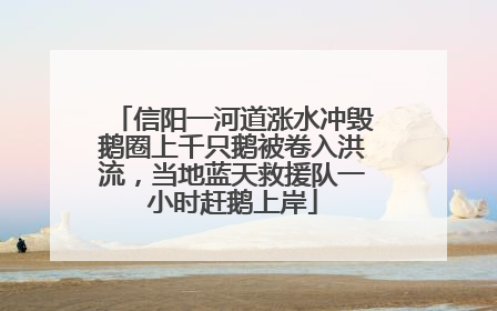 信阳一河道涨水冲毁鹅圈上千只鹅被卷入洪流，当地蓝天救援队一小时赶鹅上岸