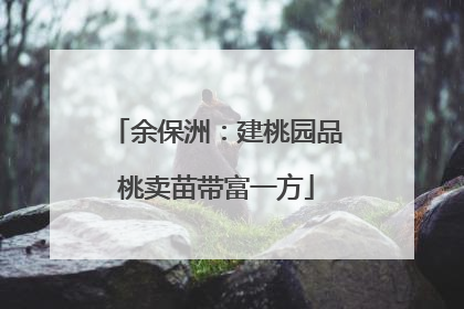 余保洲：建桃园品桃卖苗带富一方