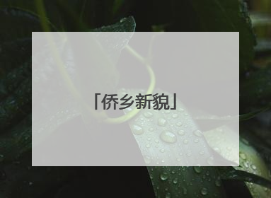 侨乡新貌