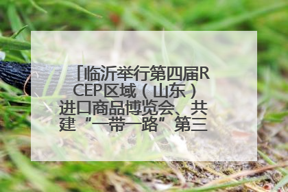临沂举行第四届RCEP区域（山东）进口商品博览会、共建“一带一路”第三届临沂商城国际采购商大会新闻发布会