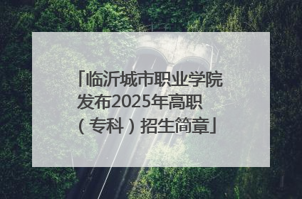 临沂城市职业学院发布2025年高职（专科）招生简章