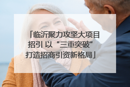 临沂聚力攻坚大项目招引 以“三重突破”打造招商引资新格局