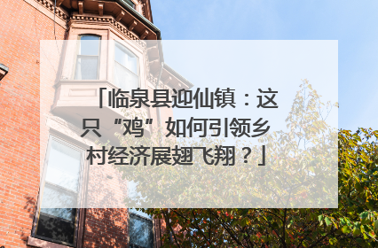 临泉县迎仙镇：这只“鸡”如何引领乡村经济展翅飞翔？