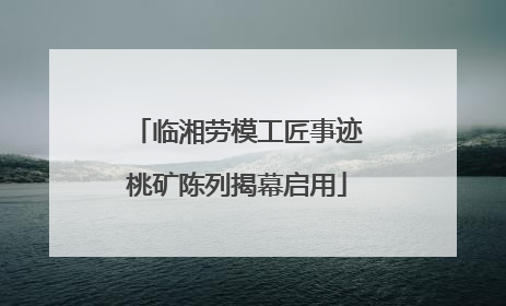临湘劳模工匠事迹桃矿陈列揭幕启用