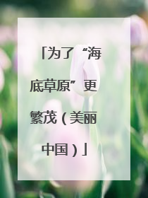 为了“海底草原”更繁茂（美丽中国）