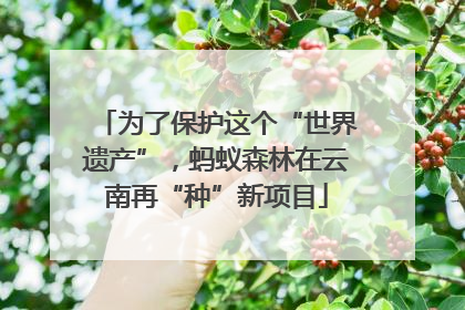 为了保护这个“世界遗产”，蚂蚁森林在云南再“种”新项目