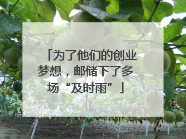 为了他们的创业梦想，邮储下了多场“及时雨”