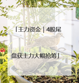 主力资金｜4股尾盘获主力大幅抢筹