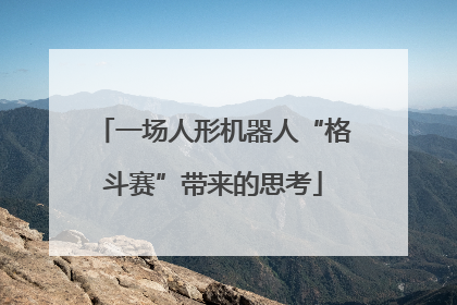 一场人形机器人“格斗赛”带来的思考