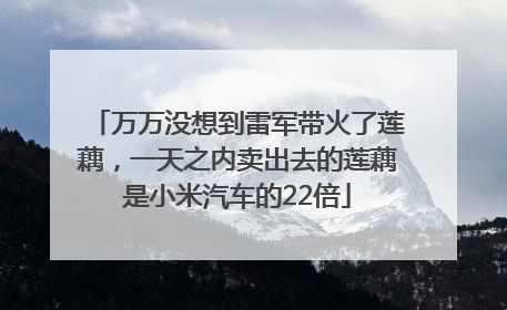 万万没想到雷军带火了莲藕，一天之内卖出去的莲藕是小米汽车的22倍