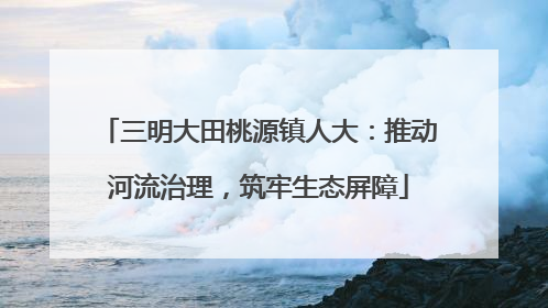 三明大田桃源镇人大：推动河流治理，筑牢生态屏障