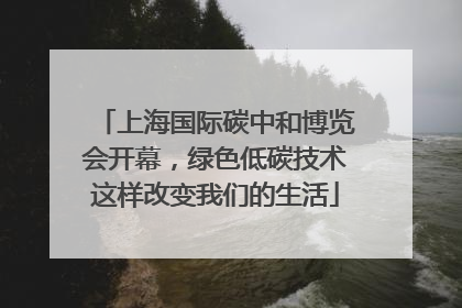 上海国际碳中和博览会开幕，绿色低碳技术这样改变我们的生活