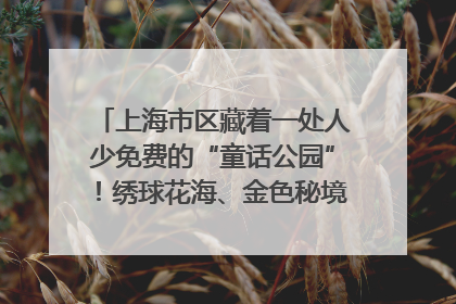 上海市区藏着一处人少免费的“童话公园”！绣球花海、金色秘境……地铁直达→