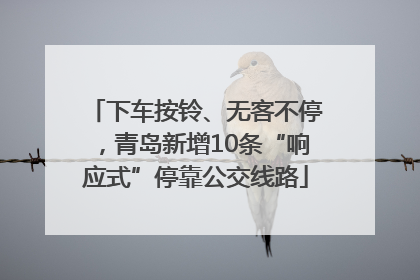下车按铃、无客不停，青岛新增10条“响应式”停靠公交线路