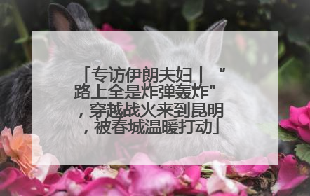 专访伊朗夫妇丨“路上全是炸弹轰炸”，穿越战火来到昆明，被春城温暖打动