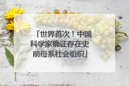 世界首次！中国科学家确证存在史前母系社会组织
