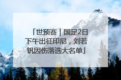 世预赛｜国足2日下午出征印尼，刘若钒因伤落选大名单