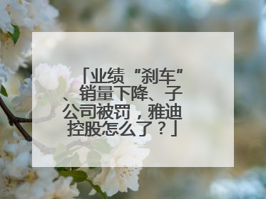 业绩“刹车”、销量下降、子公司被罚，雅迪控股怎么了？