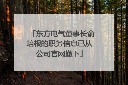东方电气董事长俞培根的职务信息已从公司官网撤下